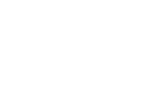 Logo rey